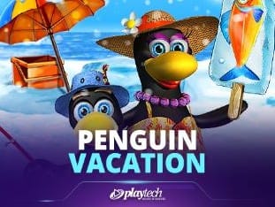Penguin Vacation